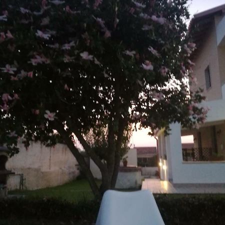 La Casa Delle Farfalle Bed & Breakfast Syracuse Exterior foto