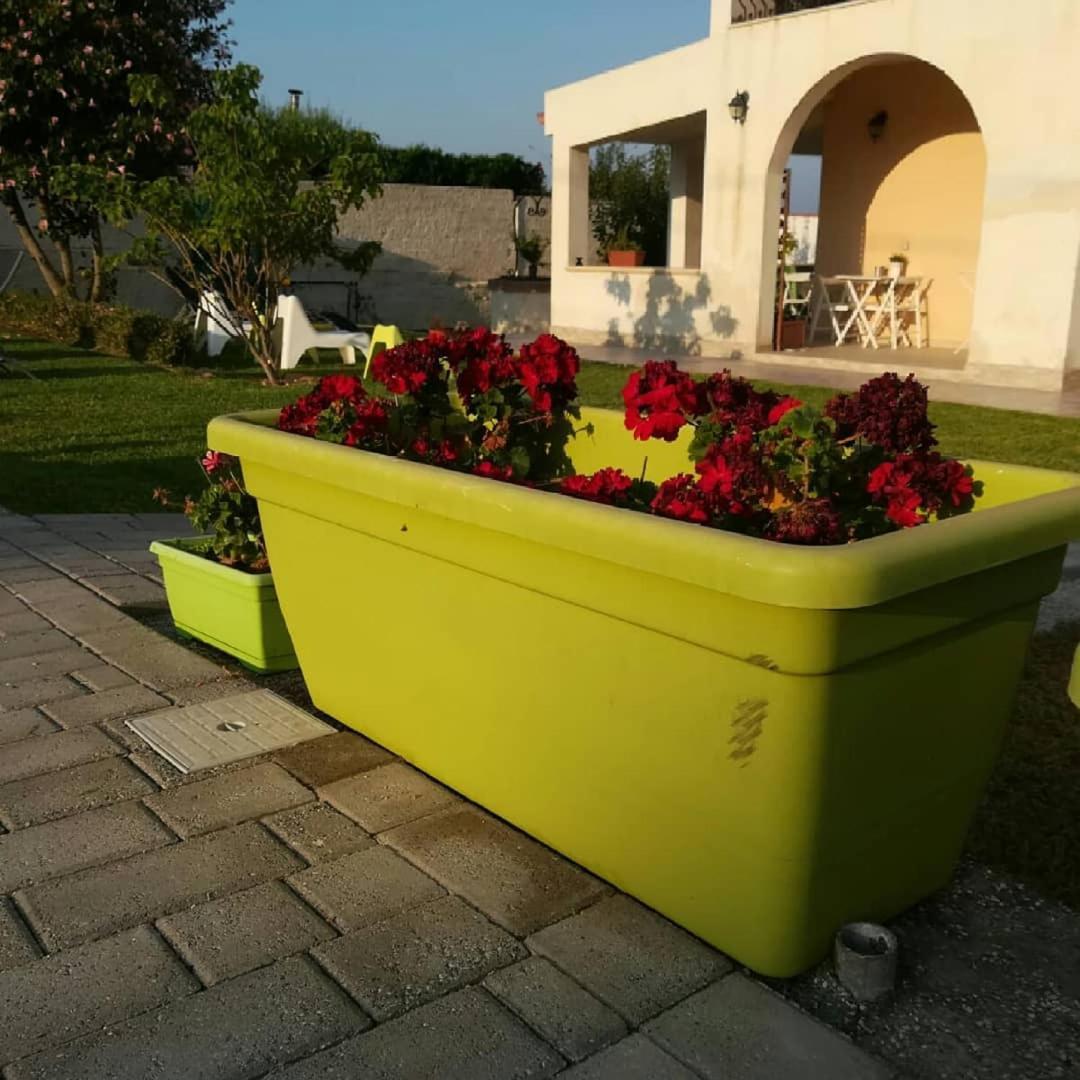 La Casa Delle Farfalle Bed & Breakfast Syracuse Exterior foto